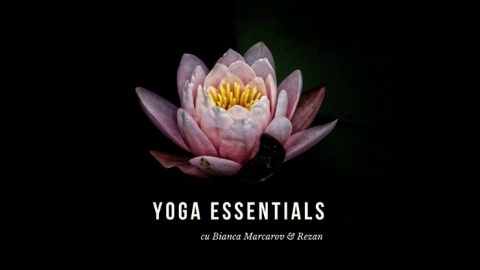 Yoga Essentials - Workshop 